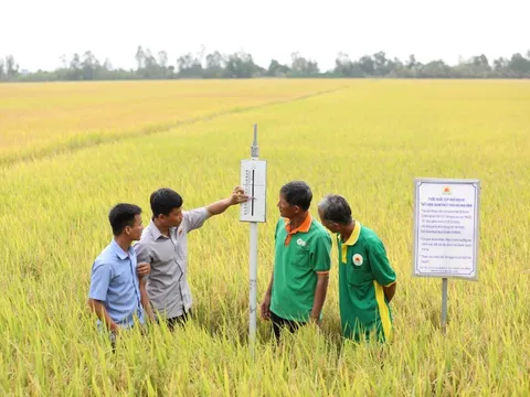 Đồng bằng Sông Cửu Long phát triển nông nghiệp “thuận thiên” trước thách thức biến đổi khí hậu