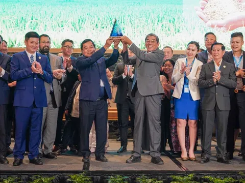 Gạo ST25 và việc thương hiệu hoá hệ sinh thái nông sản Việt