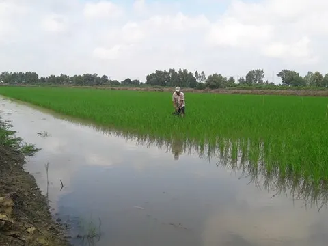 Những thách thức đối với Đồng bằng sông Cửu Long trong quá trình phát triển nông nghiệp sinh thái