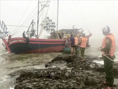 Ngày 16/12, gió Đông Bắc mạnh, biển động trên nhiều vùng biển