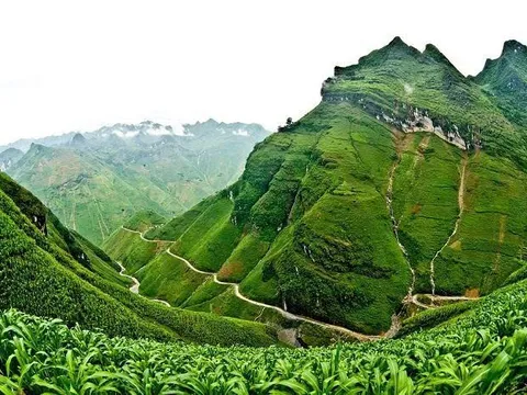 Tuổi thơ đại ngàn