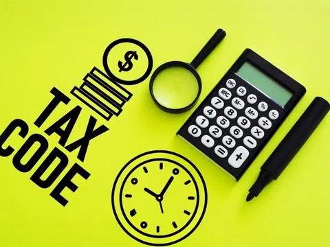 Tối ưu quy trình kiểm tra doanh nghiệp với API tra cứu mã số thuế tại TopMST