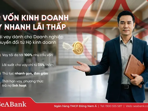 Nghịch lý “lính mới”: Kinh doanh nhiều năm vẫn khó vay vốn sau khi chuyển đổi doanh nghiệp