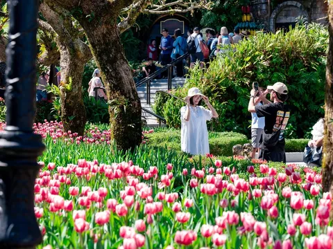 Bật mí bí kíp sở hữu chuyến du ngoạn Đà Nẵng trọn gói sang chảnh với giá “siêu hời”