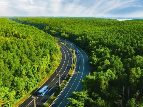 5.000 runners đếm ngược tới ngày “detox phổi” tại “mỏ oxy khổng lồ” của TP.HCM