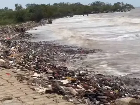 Đồng Tháp: Cần có chính sách hỗ trợ thiết thực cho lĩnh vực môi trường ở nông thôn