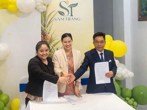 TP.HCM: Công ty Sam Trang ký kết phát triển chuỗi giá trị dứa MD2