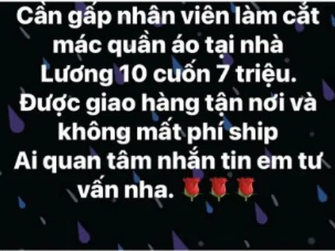 Lừa bán cây cảnh, tuyển nhân viên “cắt mác quần áo” để chiếm đoạt hàng trăm triệu đồng