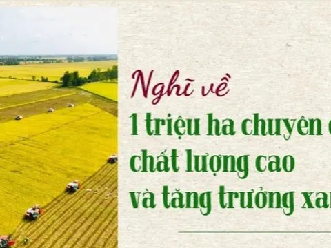 Nghĩ về 1 triệu ha chuyên canh lúa chất lượng cao và tăng trưởng xanh