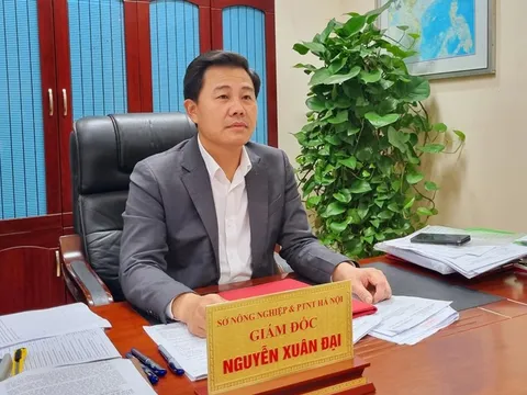 Tạo đột phá trong phát triển nông nghiệp, nông thôn