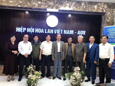Đánh giá của Ban tổ chức cuộc thi ‘Hoa lan đệ nhất sắc hương’: Khởi sắc và ngày càng hấp dẫn