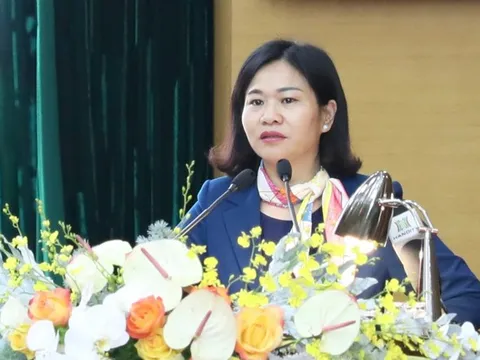 Hoàn thành xây dựng nông thôn mới nâng cao tại 5 huyện trước khi phấn đấu lên quận
