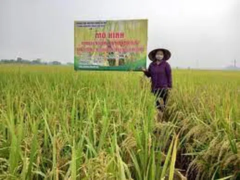 Khuyến nông Hà Nội: 30 năm hình thành và phát triển