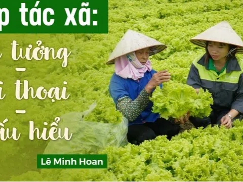 Hợp tác xã: Tin tưởng - Đối thoại - Thấu hiểu