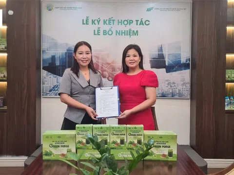 Ký hợp tác giữa Công ty Cổ phần EPOS Toàn Cầu và Công ty TNHH Dược phẩm Quốc tế TTB Group phân phối sản phẩm "Bột rau má thủy canh Đông trùng hạ thảo Green Purge"