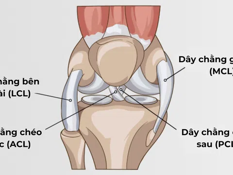 Chấn thương thường gặp ở đầu gối khi chơi thể thao
