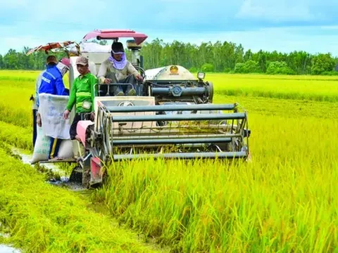 Đưa nông sản Việt vượt bão thuế, hướng tới kim ngạch 65 tỷ USD