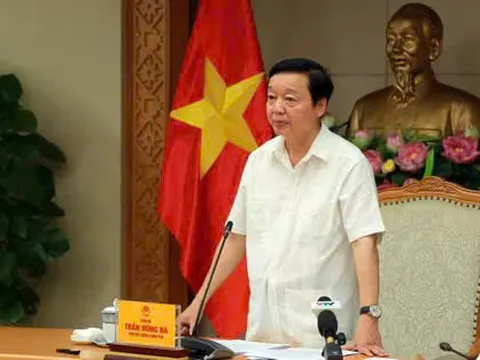 Siêu bão Ragasa: Việt Nam đối phó ra sao để hạn chế thiệt hại?