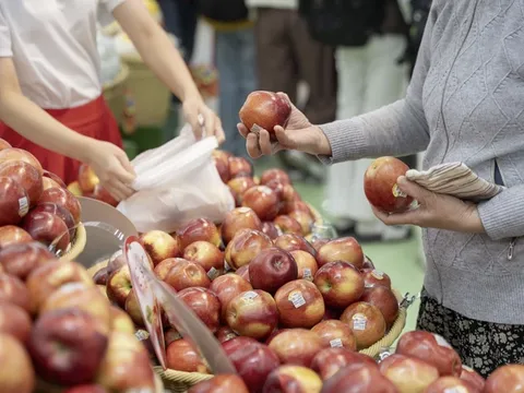 Hội đồng táo Washington: Việt Nam là thị trường xuất khẩu lớn thứ 5 của bang