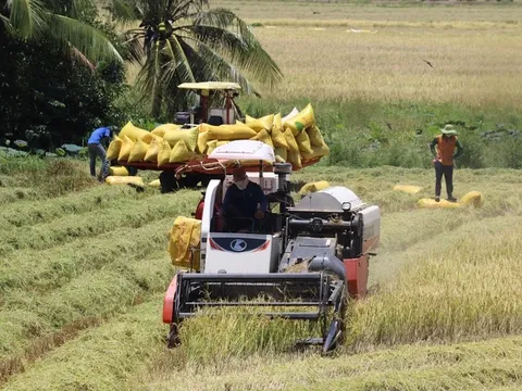 Bộ Nông nghiệp và Môi trường trả lời cử tri về giải pháp kiểm soát giá vật tư nông nghiệp