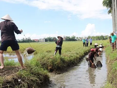 TP. Đà Nẵng: Thí điểm 15 mô hình du lịch nông thôn