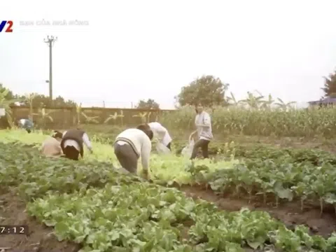 Tri thức hoá nông dân - Nông dân chuyên nghiệp!