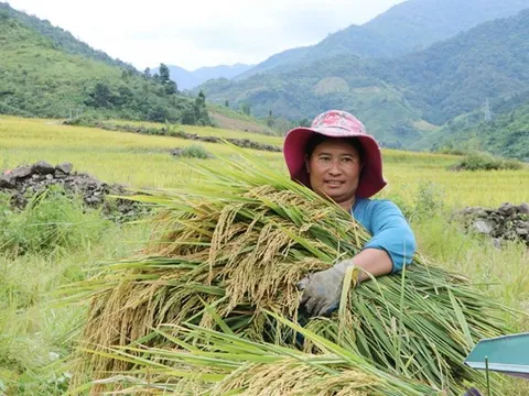 Lai Châu: Nỗ lực giảm nghèo vùng đồng bào dân tộc thiểu số
