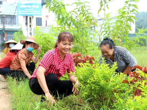 Phú Thọ: Xây dựng nông thôn mới với những cách làm mới