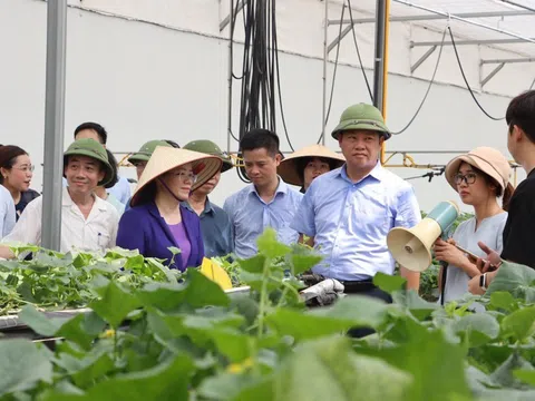 Hà Nội “bắt tay” Viện Khoa học nông nghiệp phát triển nguồn giống chất lượng cao