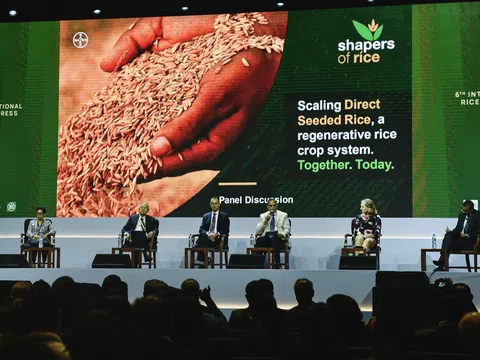 Khai mạc Đại hội Lúa gạo quốc tế 2023
