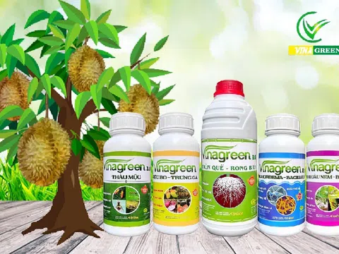 Top 7 chế phẩm sinh học tại VinaGreen đáng để đầu tư cho ngành trồng trọt