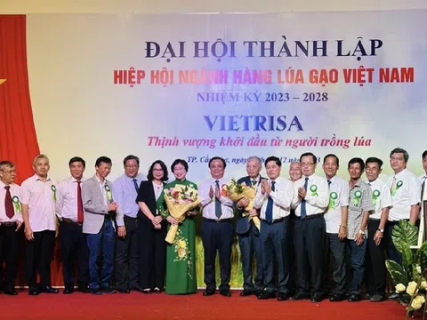 Thành lập Hiệp hội Ngành hàng lúa gạo Việt Nam