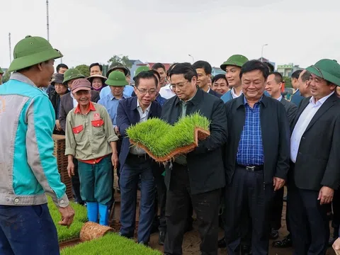 Thủ tướng Phạm Minh Chính xuống đồng cấy lúa cùng nông dân