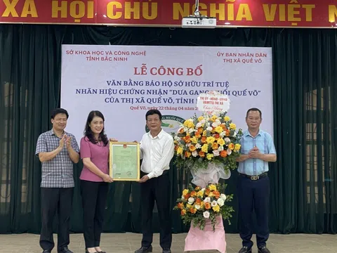 Xây dựng thương hiệu “Dưa gang muối Quế Võ” cho sản phẩm dưa gang muối của thị xã Quế Võ, tỉnh Bắc Ninh