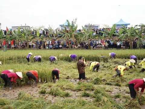 Hải Dương gây ấn tượng với Lễ hội lúa - rươi hữu cơ lần thứ 3