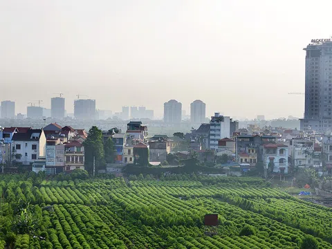 Nông nghiệp đô thị và những vấn đề đặt ra trên địa bàn thành phố Hà Nội (Kỳ 4)