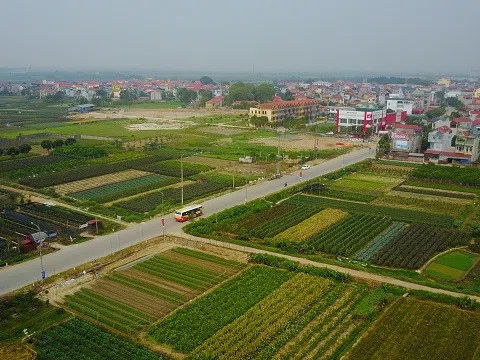Nông nghiệp đô thị và những vấn đề đặt ra trên địa bàn thành phố Hà Nội (Kỳ 12)