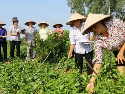 Kiểm soát nội bộ giúp Hợp tác xã hạn chế rủi ro