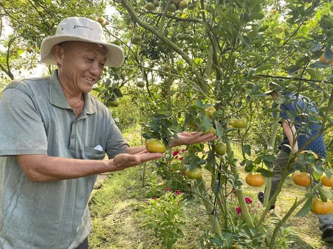 Đổi mới tư duy - Bí quyết nâng cao giá trị nông nghiệp