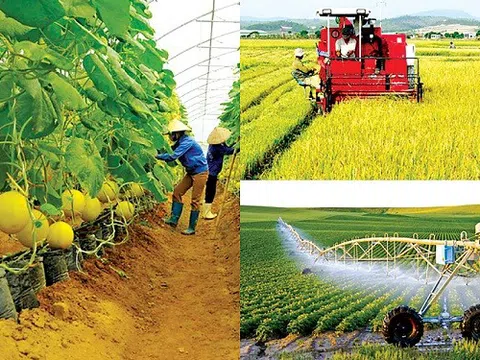 Ngành nông nghiệp Việt: Đột phá chất lượng, hướng tới tăng trưởng bền vững