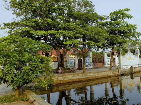 Quản lý hệ thống không gian xanh trên địa bàn TP Hà Nội