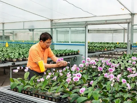 Doanh nhân Nguyễn Văn Kính hiện thực hóa 'giấc mơ' ghi tên Việt Nam trên bản đồ hoa lan thế giới