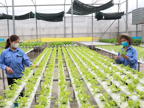 Số hóa thúc đẩy tăng trưởng nông nghiệp và môi trường
