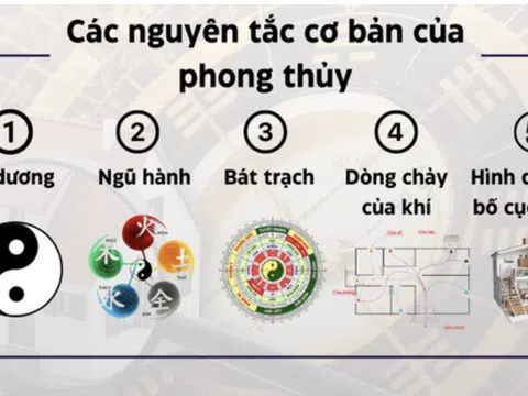 Khám phá nghệ thuật sống hài hòa chuẩn phong thủy