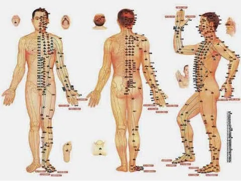 Thành công chữa trị của y học dân tộc