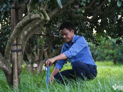Ứng dụng công nghệ cao giúp nông dân thoát nghèo