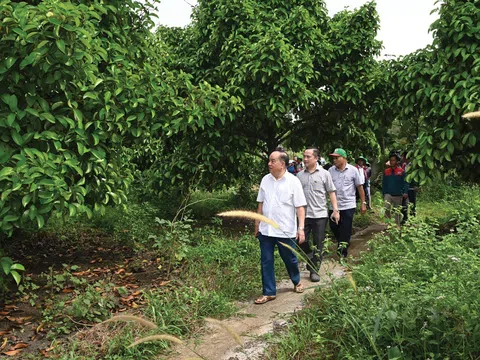 Thủy chung với nông nghiệp Tuần Hoàn