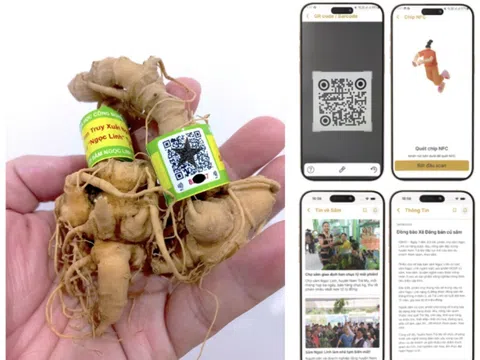 Sâm Ngọc Linh trong Kỷ Nguyên Số