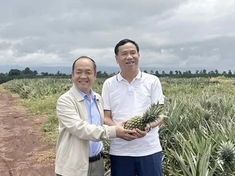 Làm nông nghiệp là yêu nước - Câu chuyện về hai con người tử tế trên miền đất đỏ bazan