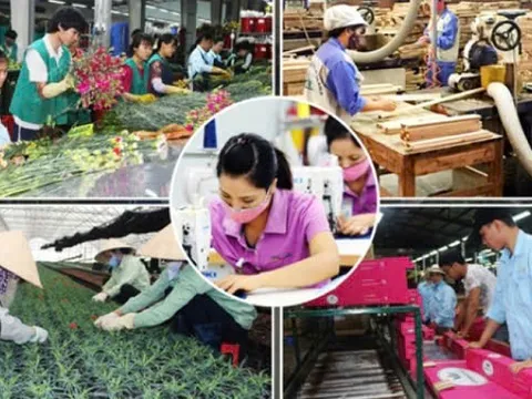 Chỉ đạo, điều hành của Chính phủ, Thủ tướng Chính phủ nổi bật tuần từ 13 -19/9/2025
